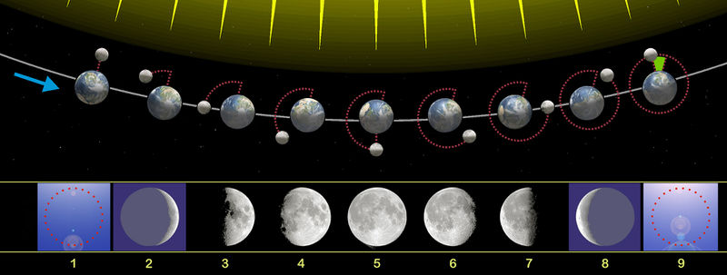 Fichier:Moon phases.jpg