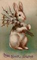 Easter Bunny Postcard 1907.jpg